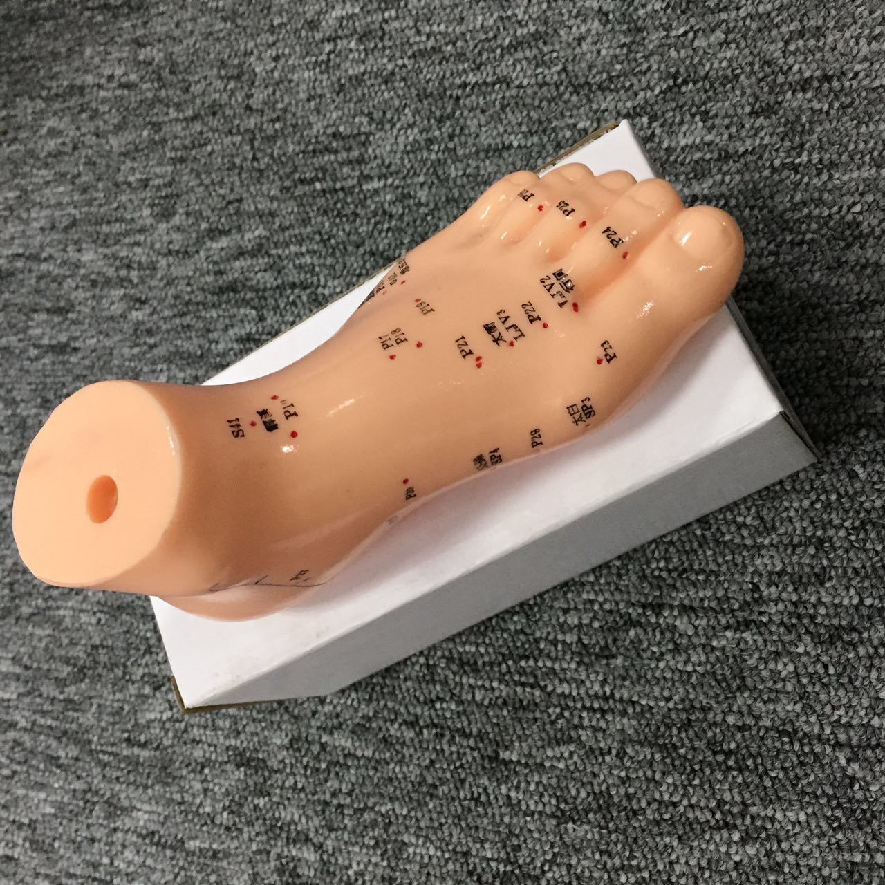 Teaching Model Plastic Foot Acupuncture Model