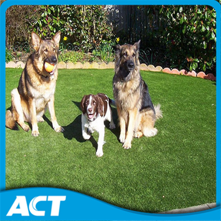 Artificial Pet Grass Carpet Lawn Safe and Environmental L40