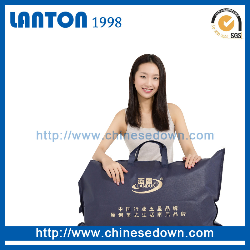 Factory Wholesale Customized Soft Hotel Feather Down Cushion