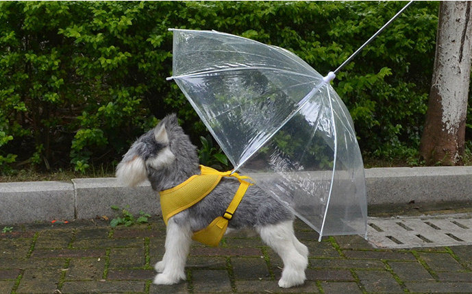 Fashion Design Outdoor Promotional Pet PVC Transparent Promotional Umbrella