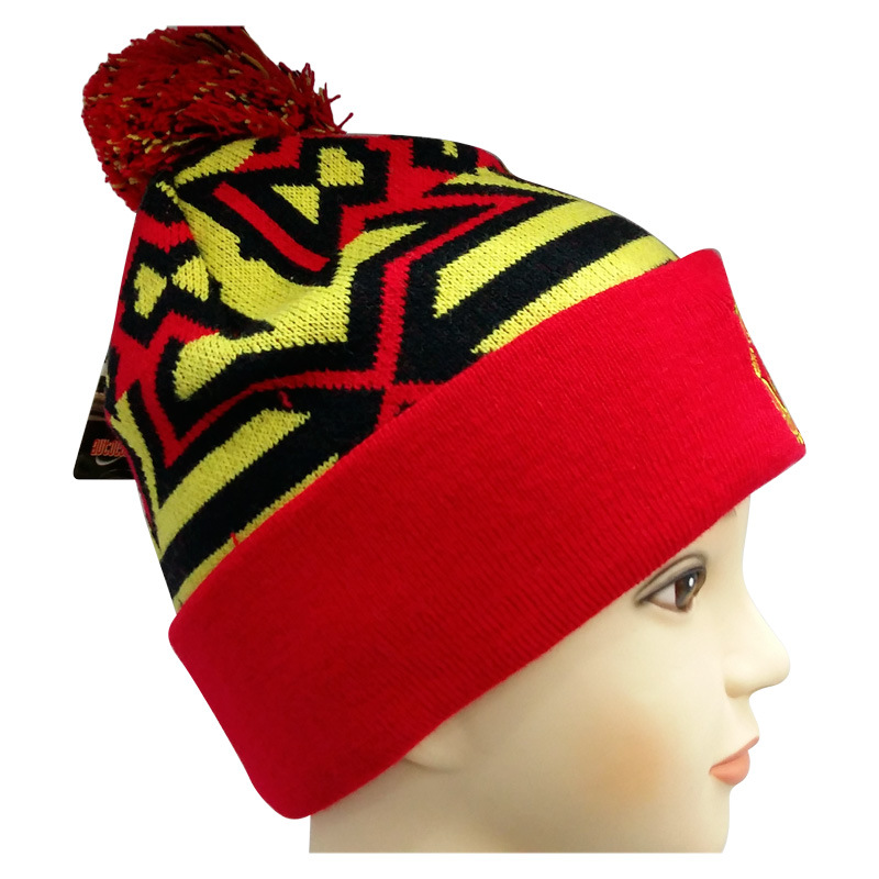 Fashion Knitted Hat with Knitted in Logo NTD1669