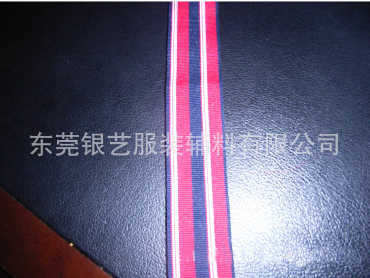 Cheap Polyester Webbing for Garment&Accessories
