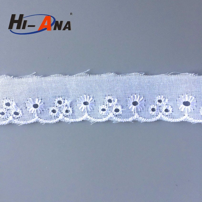 Rapid and Efficient Cooperation Hot Sale Swiss Lace