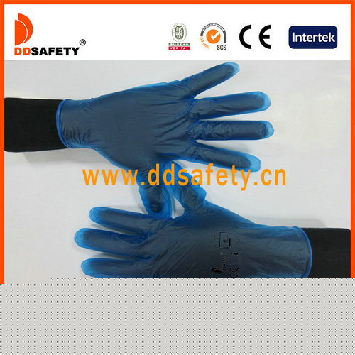 Ddsafety 2017 Clear Vinyl Exam Gloves Owder or Powder Free Blue Color