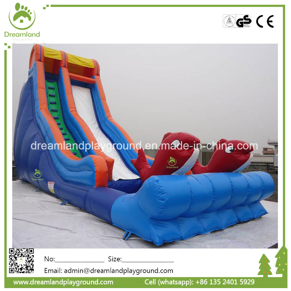 Commercial Inflatable Water Slide with Small Pool for Sales Craigslit