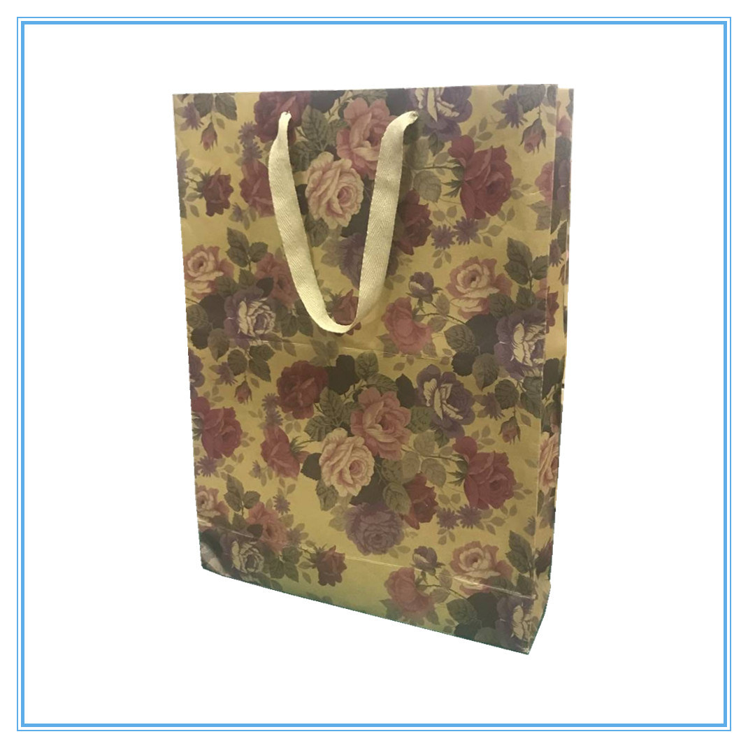 Kraft Paper Gift Shopping Bag for Packaging Apparel and Shoes