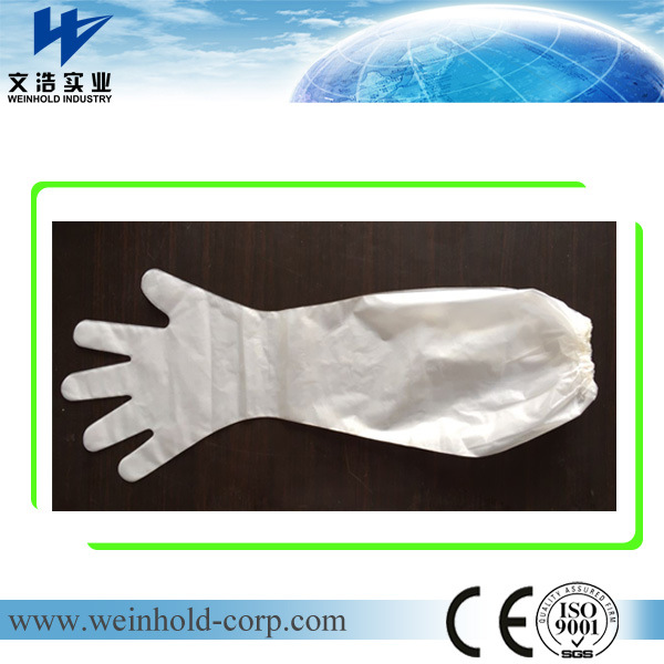 Disposable CPE Long Gloves for Veterinary Use