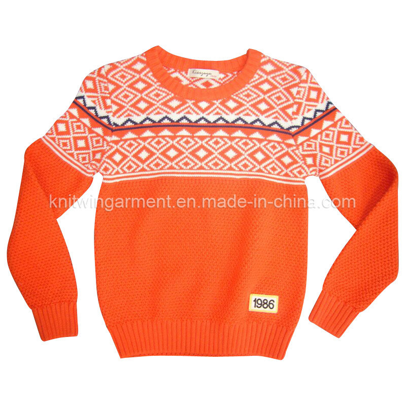 100% Cotton Boy Sweater in Round Neck Long Sleeve (C-02)