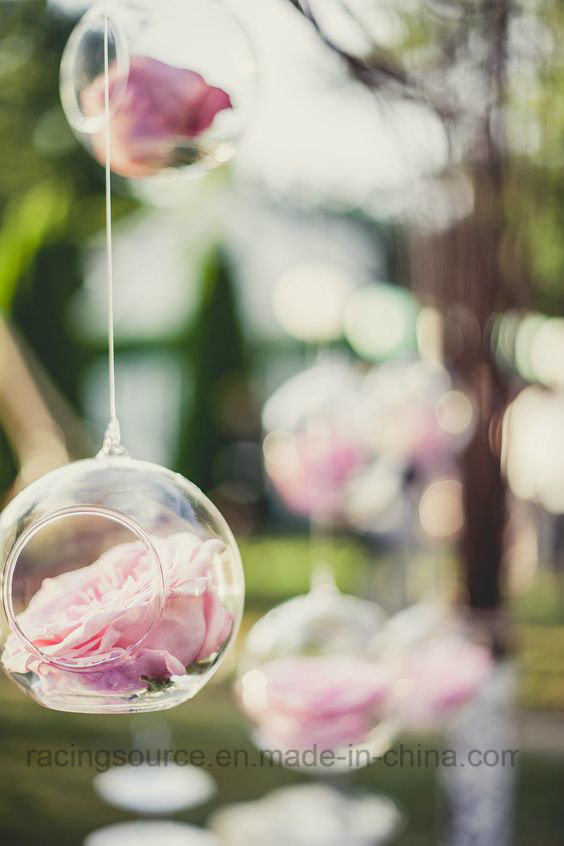 Modern Home Fashion Hanging Hydroponic Bulbs Flower Wedding Vase