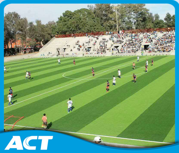 Fifa Approved Football Field Synthetic Grass Carpet Mds60