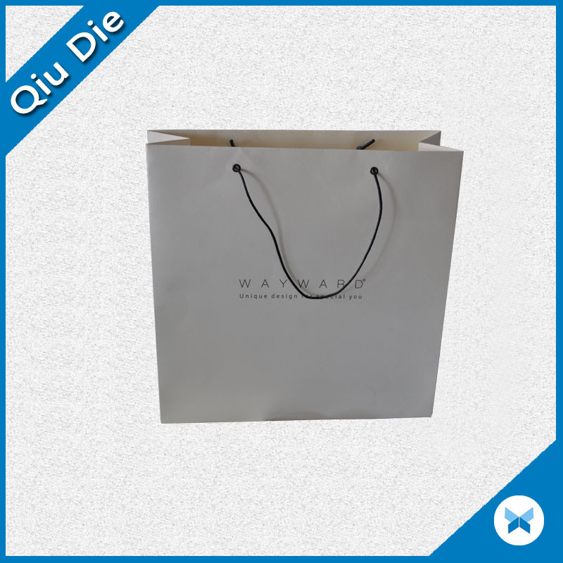 Promotional Printed Paper Packing Bag for Garment & Shoes