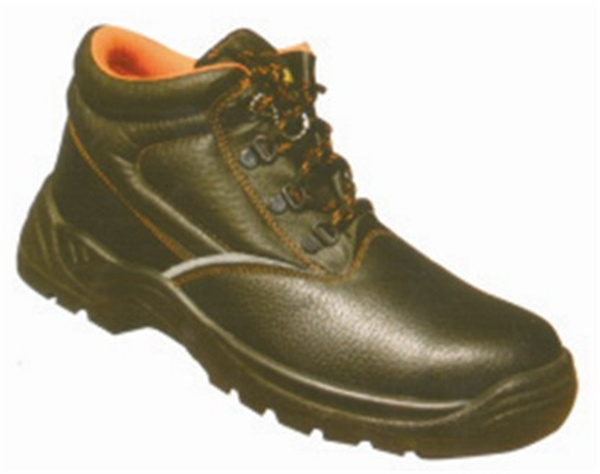 Hot Sales Workmen Safety Shoes with Lace up (AQ 21)