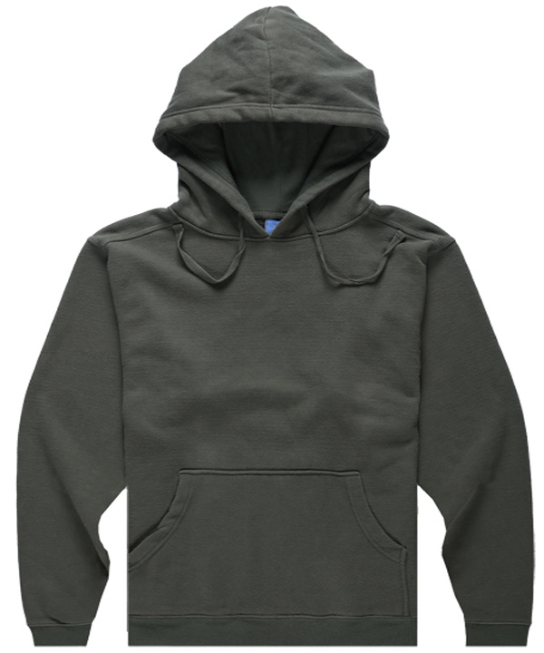 New Style Top Quality Hoodied Sweatshirt (SW--731)