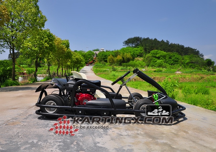 Racing Go Kart 4 Stroke 200cc Sx-G1101 (w) with Kit/ Tires/Rims Christmas Gift Gc2006 for Sale