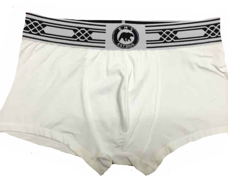Male Underpants/Boxer/Underwear