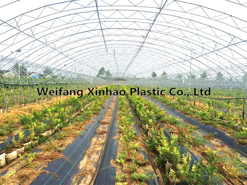 PP Woven Weed Stop Membrane Fabric with 70GSM-120GSM