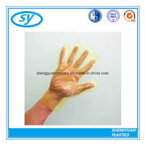 Disposable PE Gloves for Restaurants and Delis