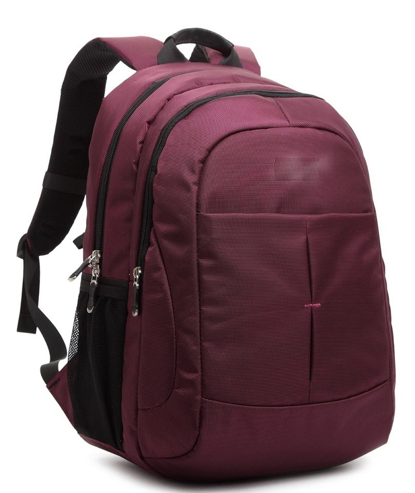 Sport Travel Nylon Backpack Bags (BDM033)