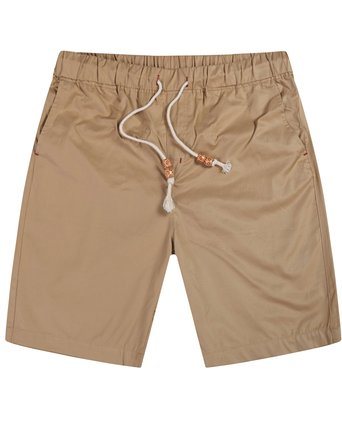 Men's Linen Casual Classic Fit Shorts Beach Shorts