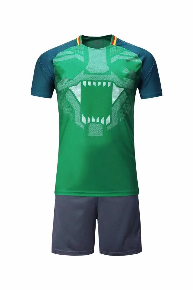 2018 World Cup Jersey Customized National Team Soccer Jersey Football Shirts