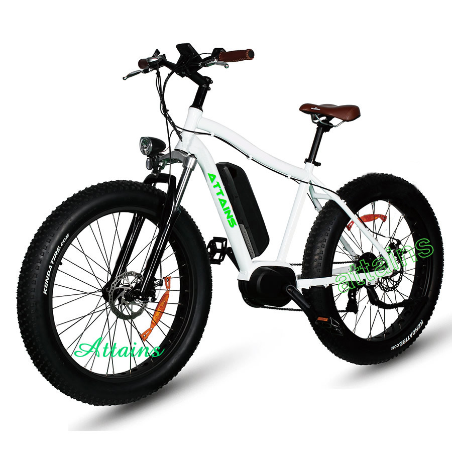 New Man Style 48V 1000W Adult Mountain Electric Fat Bike