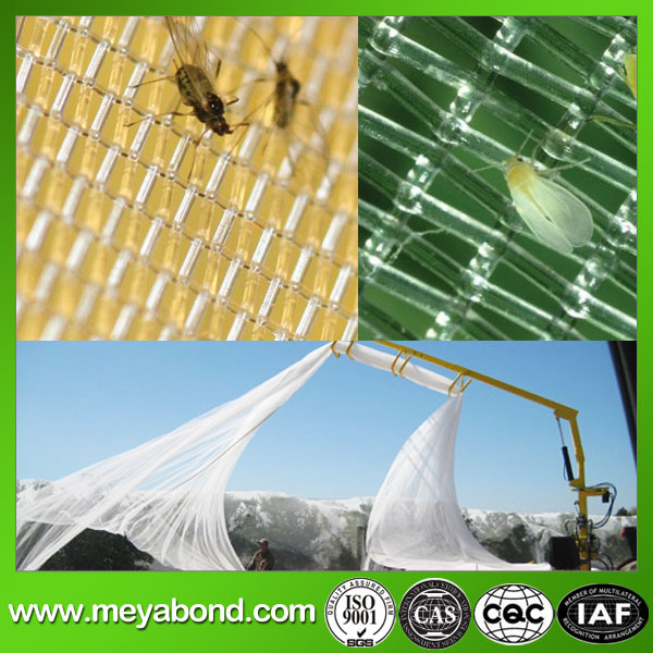 50 Mesh	130G/M2 Insect Net for South America Market