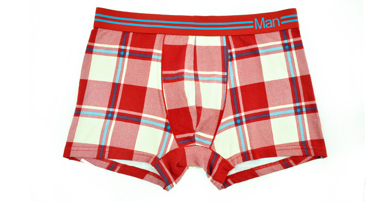 95%Cotton/5%Pendex Men Underwear Boxers Brief Fashion for 217