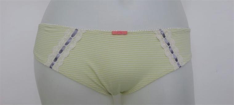Soft and Comfortable Ladies Panty (PTY010)