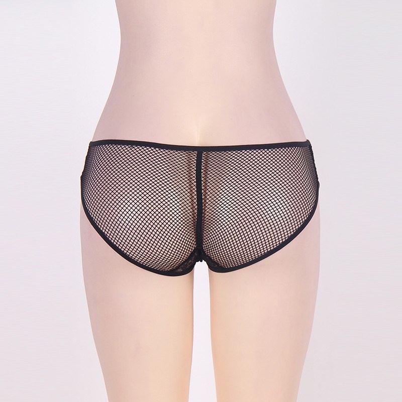 Hot Sale Fishnet Sexy Panties with Lace Crotch See Through Plus Size Underwear Erotic Women Underwear Bowknot