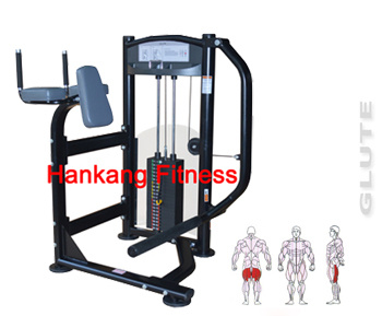 Gym Equipment, Body Building Machine, Strength Machine, Glute Machine -PT-816