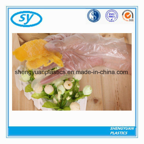 Disposable Household PE Gloves with Best Service