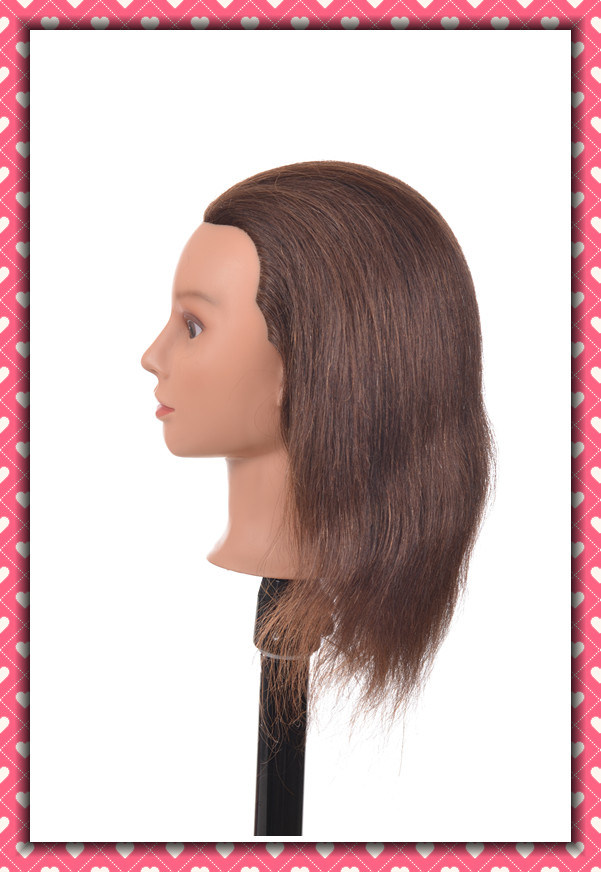 Wholesale 100% Human Hair Training Head 20inches for Beauty School