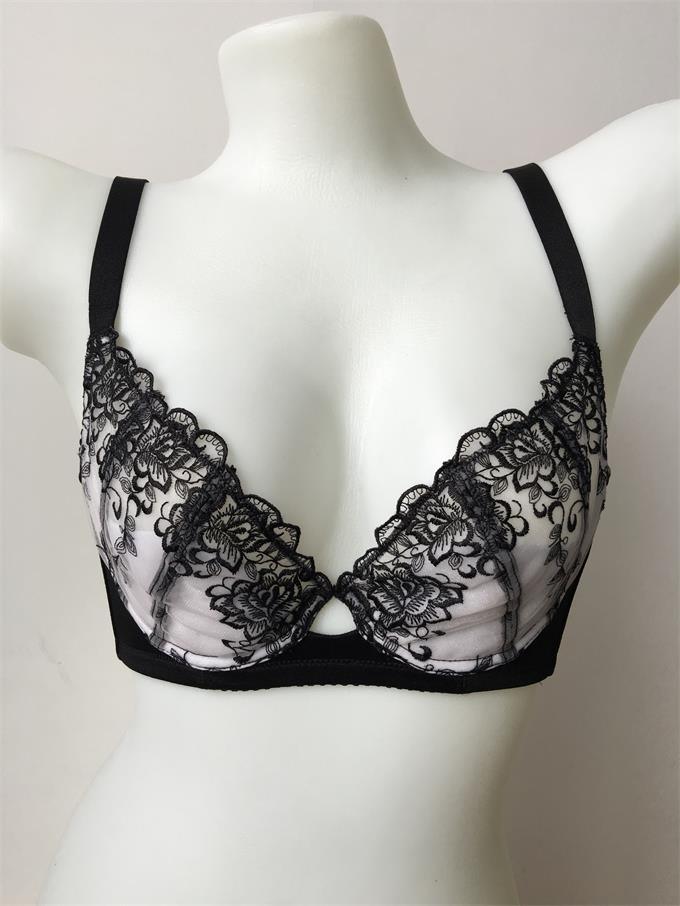 Wholesale Sexy Embroidery Transparent Lace Bra (CSB010)