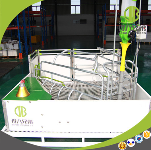 High Strengh Galvanized Farrowing Crates High Quality Farrowing Crates