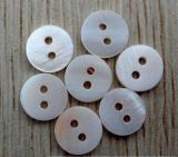 Fashion Customized Shell Button for Man, Woman and Kids Garment