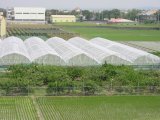 HDPE Anti-Insect Net with UV Treated for Greenhouse