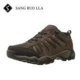 2017 New Design Professional Walking Sport Hiking Shoes