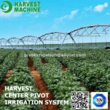 Sprinkler Big End Gun Agricultural Irrigation System/Farm Center Pivot Irrigation for Agricultural