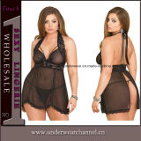 Wholesale Plus Size Women Sexy Underwear Night Dress Lingerie (T31002-2P)