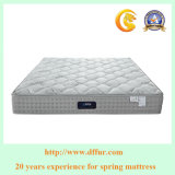 4 Inch Natural Memory Foam Mattress with Pocketed Coil