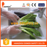 Ddsafety 2017 HDPE PE Disposable Glove
