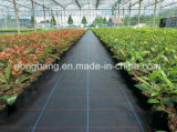 5m*100m/Roll, PP Woven Weed Control Fabric