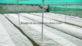 Agriculture Greenhouse Anti-Insect Net	Anti-Insect Wire Mesh Netting