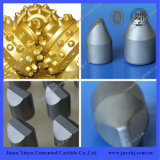 Water Well Drilling and Oil DTH Drill Carbide Wedge Button