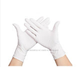 High Quality Good Price Powder Free Disposable Latex Examination Gloves