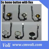 Wholesale For iPhone 5S Home Button + Home Flex