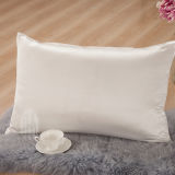 Taihu Snow Silk Pure Dyed China Wholesale Bedroom Silk/Cotton Pillowcase
