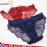 High Class Lace No Trace Mesh Ladies Sexy Girls Transparent Underwear
