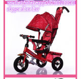 Baby Ride on Toy Push Powder Children Tricycle
