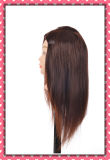 8A 100% Human Hair Training Head 22inches for Beauty School